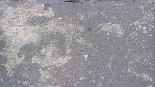 Regen tropft auf den Boden
