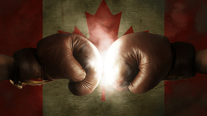 Boxing Gloves with the Flag of Canada