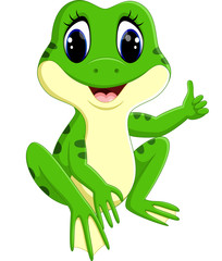 Cute frog cartoon