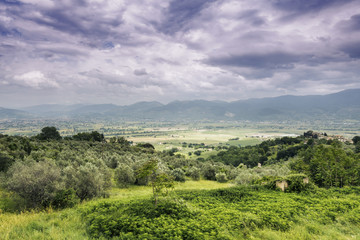 Fototapeta na wymiar Landscape in Italy Marche