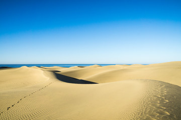 One lonely trace in the Sand at Maspalomas Dunes / Spain