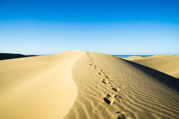 Fototapeta na wymiar Maspalomas Dunes in the Morning/ Spain