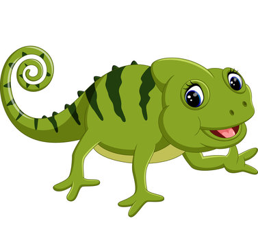 Cartoon cute Chameleon 