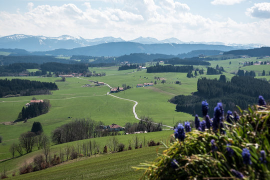 Allg&auml;uer Land-Landstra&szlig;e in Richtung Kempten im Hintergrund 