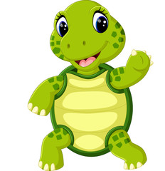 Cute cartoon turtle