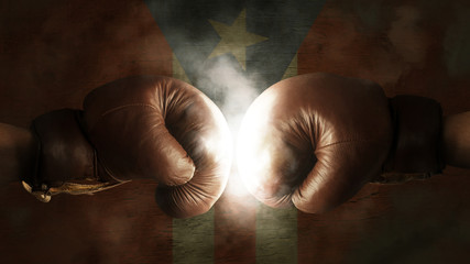 Fototapeta na wymiar Boxing Gloves with the Flag of Puerto Rico