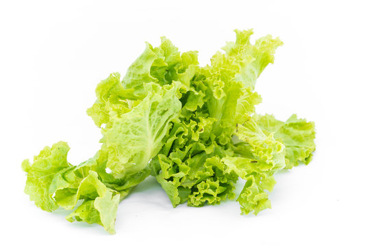 green salad leaf isolated on white - 
Lettuce salad leaf close up on white background & space for your copy text
