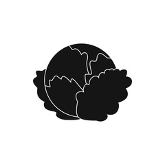 Cabbage icon, simple style