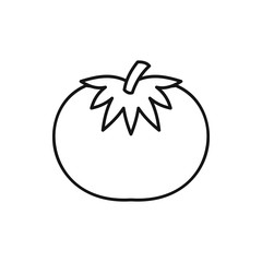 Tomato icon, outline style