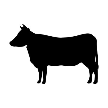 cow animal farm isolated icondesign 