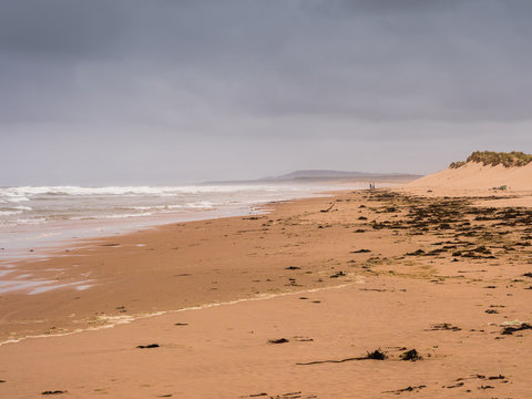 Beautiful golden sands at Lossiemouth beach, Lossiemouth, Morray Firth, Scotland, UK,