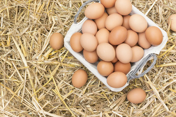 Huevos de gallina , cesta con huevos sobre la paja