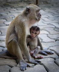 mamma e figlio