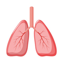 Human lungs icon in cartoon style