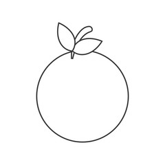 isolated fruit  design. organic food concept , vector graphic 