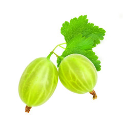 Two fresh ripe green gooseberry berries with leaves isolated on white background. Design element for product label, catalog print, web use.