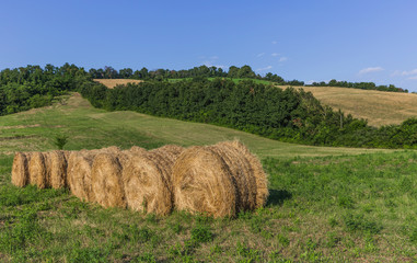 Italian countryside landscape in Tuscany