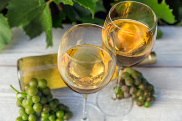 glass of wine on a wooden table. Bunches of grapes.