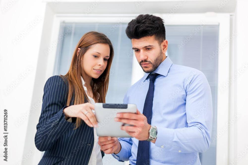 Wall mural business partners reading a document