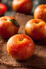 Raw Organic Dinosaur Egg Pluots