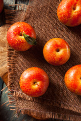 Raw Organic Dinosaur Egg Pluots