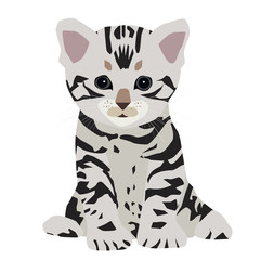 Fototapeta na wymiar Cute American shorthair cat kitten. Vector illustration. EPS10