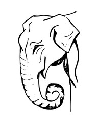 Elephant head (figure)0