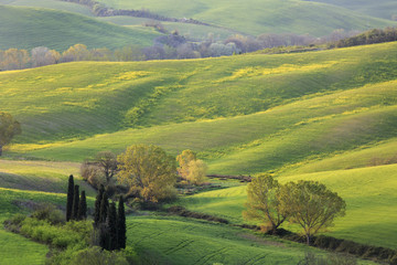 Alba in val d'Orcia in toscana