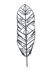 Feather design. isolated  bohemic plume, vector graphic