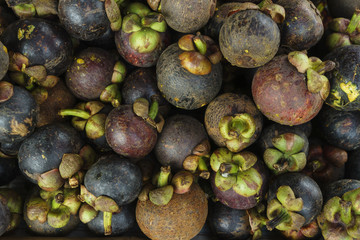 Tropical Fruits Mangosteen
