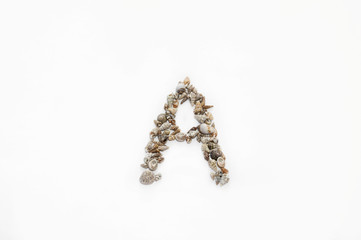 The letter "A" made from seashells