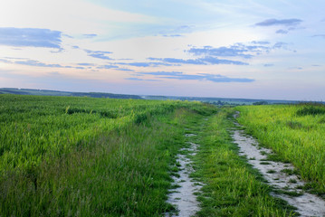 Rural road across field