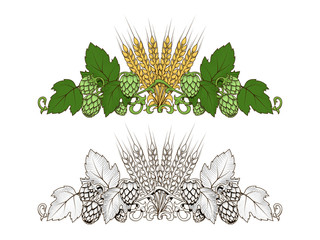 Hops and barley ornament vector illustration