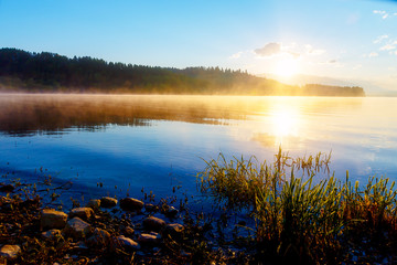 detail of grass halm at a lake in magical morning time with dawning sun.
