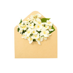 Jasmine in the envelope