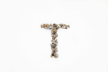 The letter "T" made from seashells