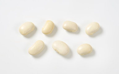 Fototapeta na wymiar raw white beans