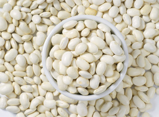 raw white beans