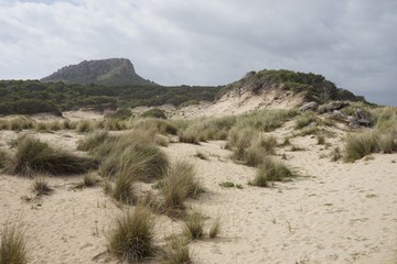 Sanddünen an der Cala Mesquida / Mallorca 