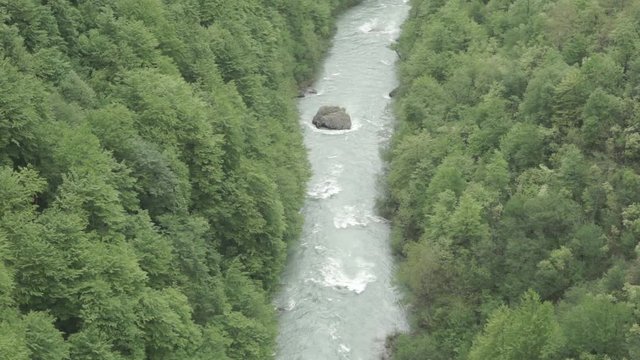 Beautiful river valley in the forest