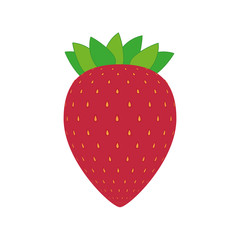 Healthy and organic food. fruit icon. vector graphic