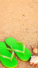 Fototapeta na wymiar Women's green sandals on the shoreline at the beach with a couple of sea shells.