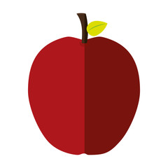 Healthy and organic food. fruit icon. vector graphic