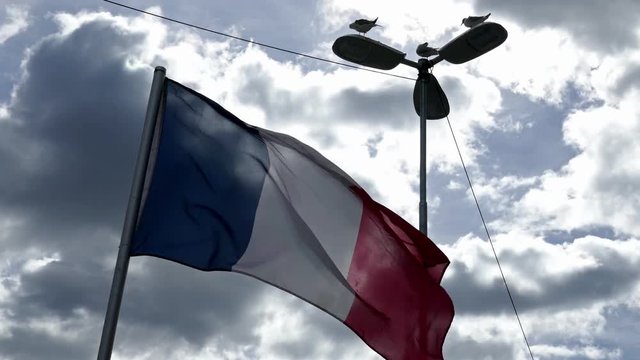 National flag of France waving in the wind in a sunny day foreground with birds sitting on a street light and a cloudy blue sky in background