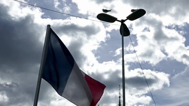 National flag of France waving in the wind in a sunny day foreground with birds sitting on a street light and a cloudy blue sky in background