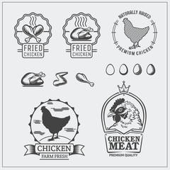 Set of chicken labels, emblems and design elements.