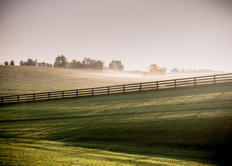 Long Shadows of Horse Fences in the Fog