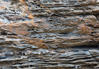 Part of rock close up.