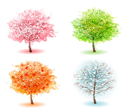 Four stylized trees representing different seasons. Vector.