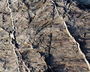 Part of rock close up.
